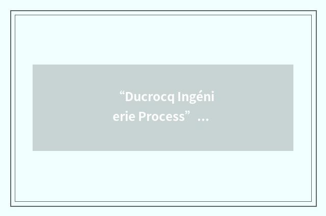 “Ducrocq Ingénierie Process”缩略