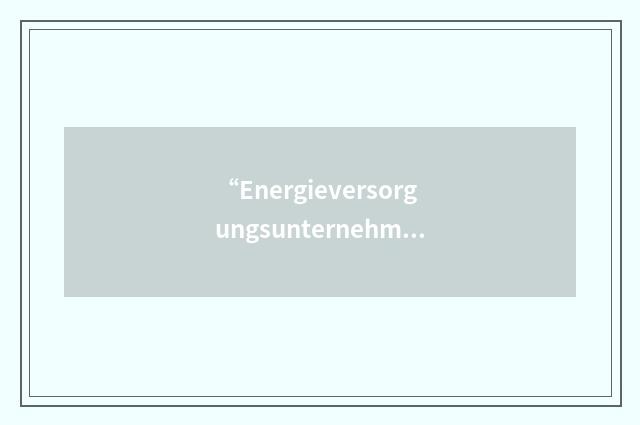 “Energieversorgungsunternehmen”缩略