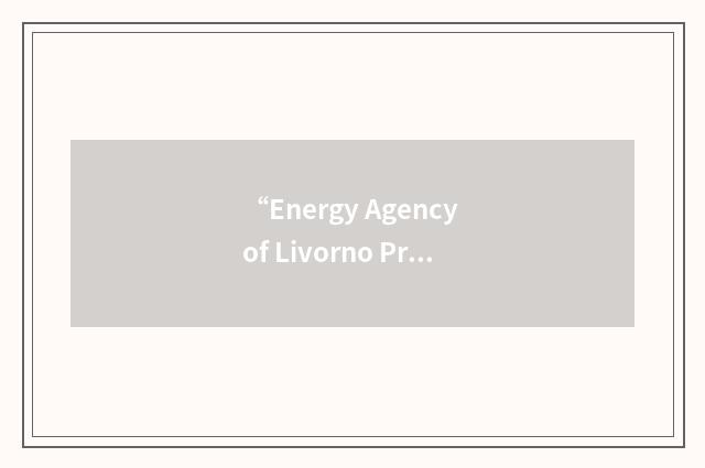 “Energy Agency of Livorno Province”缩略