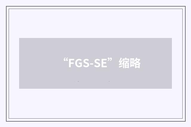 “FGS-SE”缩略