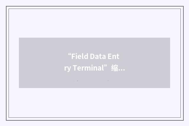 “Field Data Entry Terminal”缩略