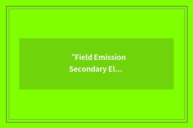 “Field Emission Secondary Electron Microscopy”缩略