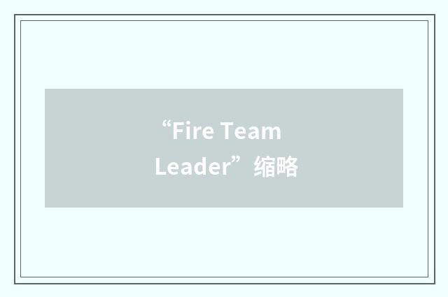 “Fire Team Leader”缩略