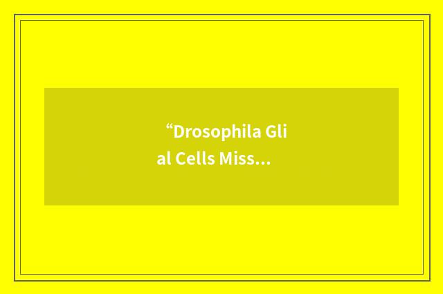 “Drosophila Glial Cells Missing Gene”缩略