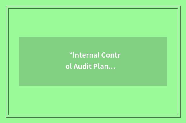 “Internal Control Audit Planning Summary”缩略
