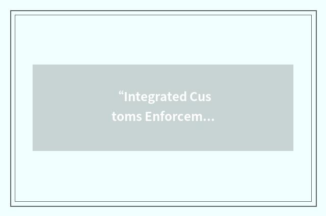 “Integrated Customs Enforcement System”缩略