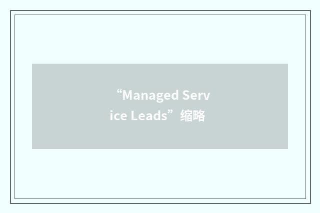 “Managed Service Leads”缩略