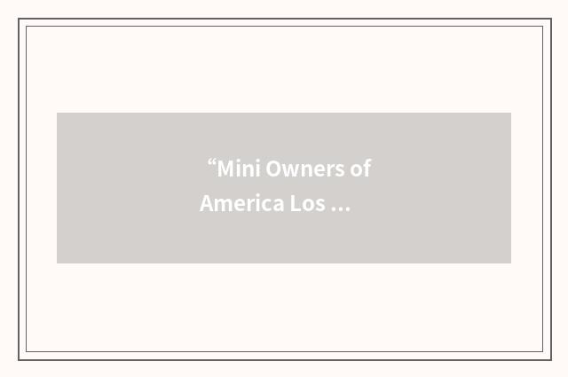 “Mini Owners of America Los Angeles”缩略