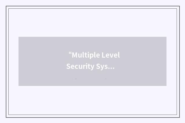 “Multiple Level Security System”缩略