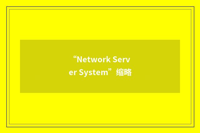 “Network Server System”缩略