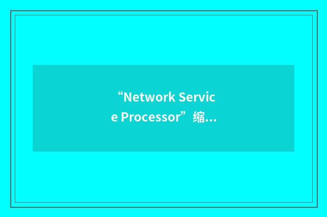 “Network Service Processor”缩略