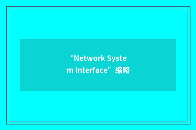 “Network System Interface”缩略