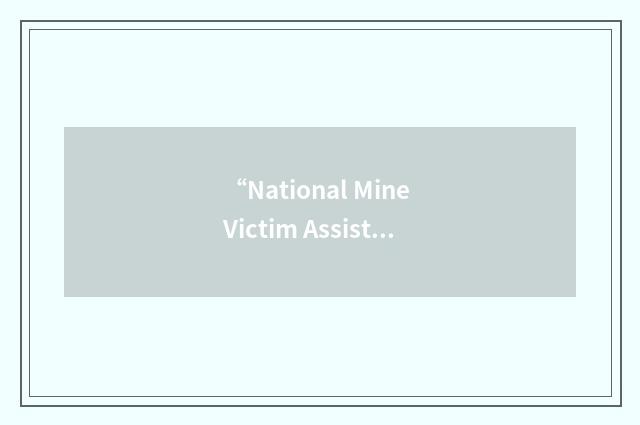 “National Mine Victim Assistance Committee”缩略