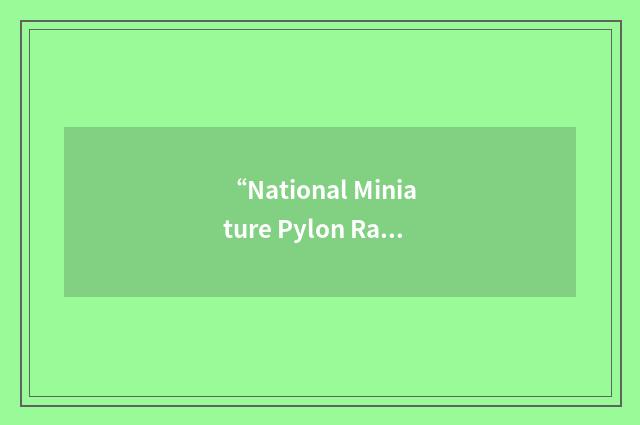 “National Miniature Pylon Racing Association”缩略
