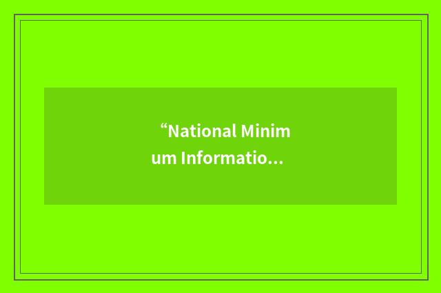 “National Minimum Information Requirements”缩略