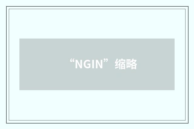 “NGIN”缩略