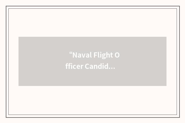 “Naval Flight Officer Candidate”缩略