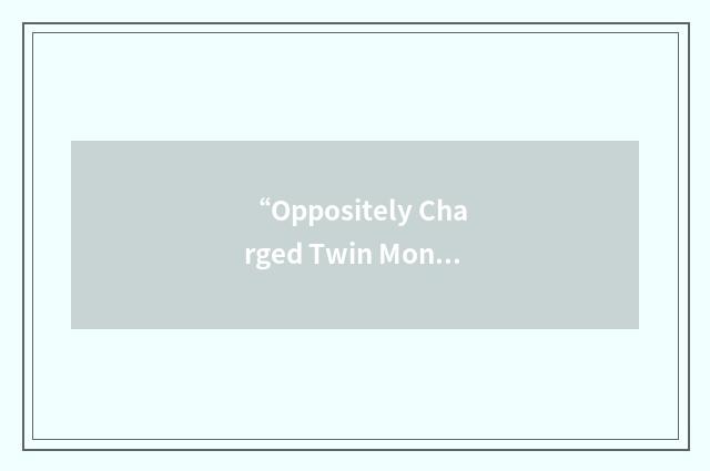 “Oppositely Charged Twin Monopole”缩略