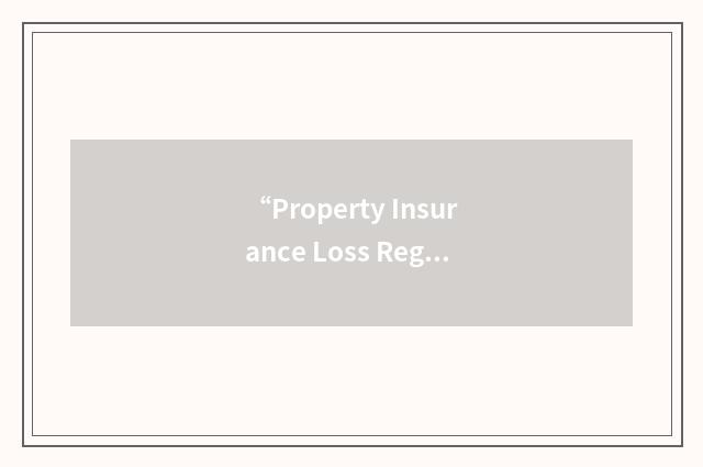“Property Insurance Loss Register”缩略