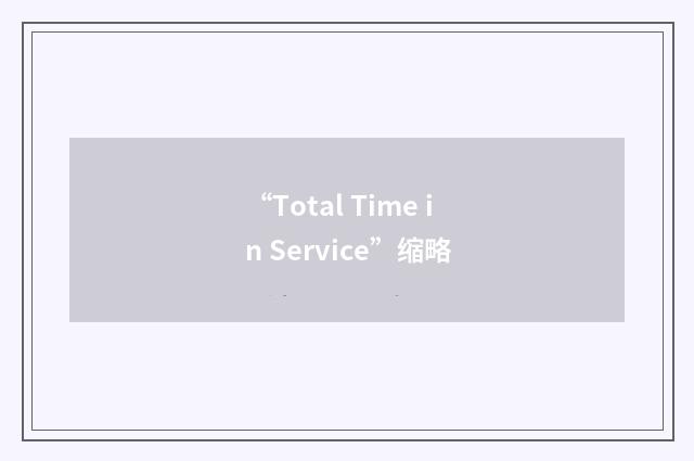 “Total Time in Service”缩略