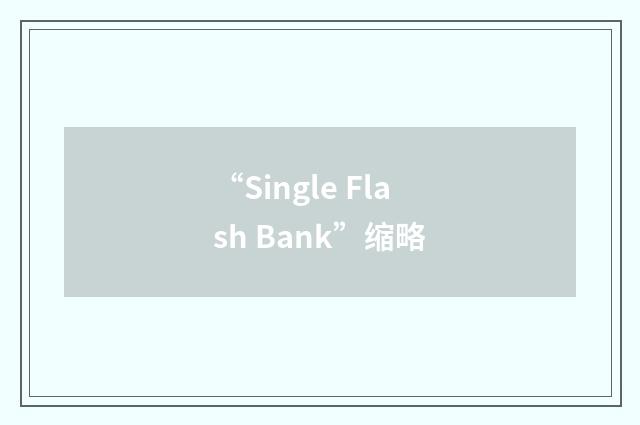 “Single Flash Bank”缩略
