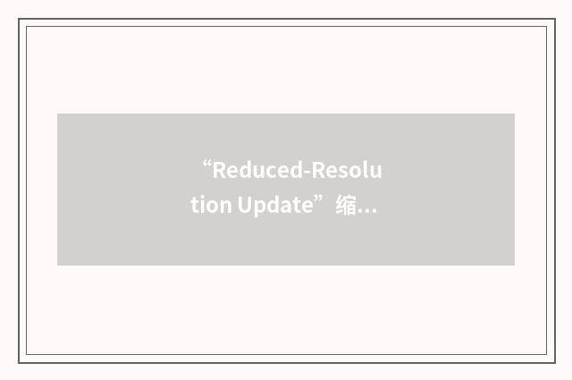 “Reduced-Resolution Update”缩略