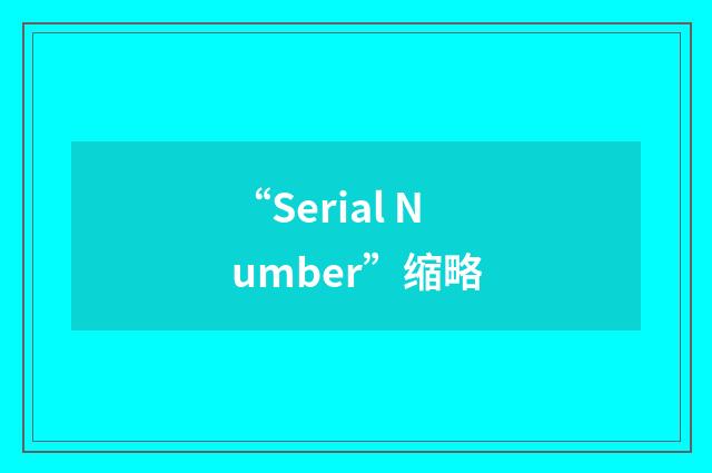 “Serial Number”缩略