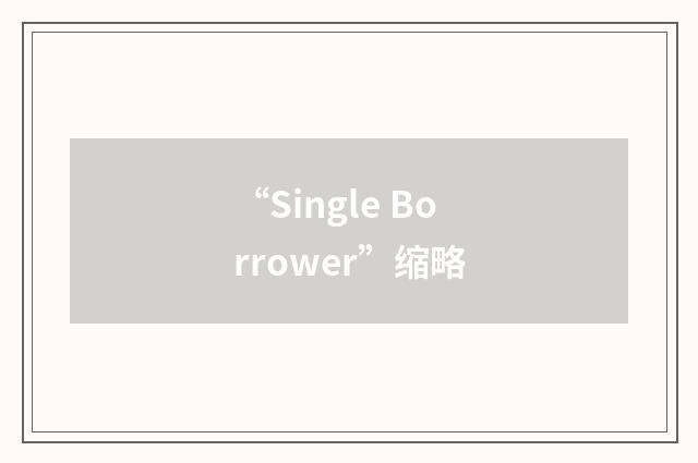 “Single Borrower”缩略