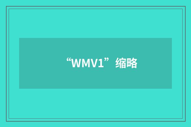 “WMV1”缩略