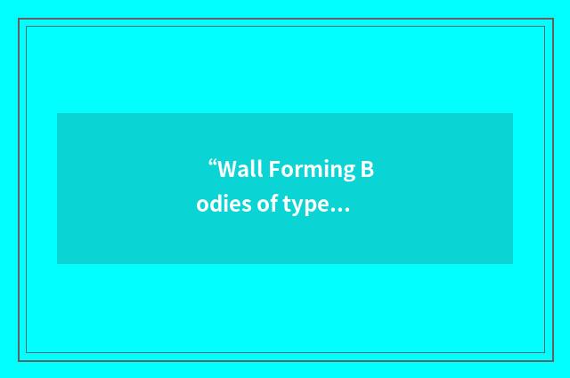 “Wall Forming Bodies of type II”缩略