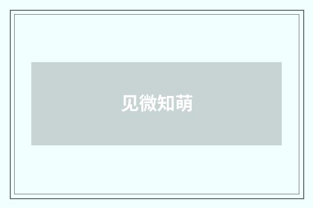 见微知萌