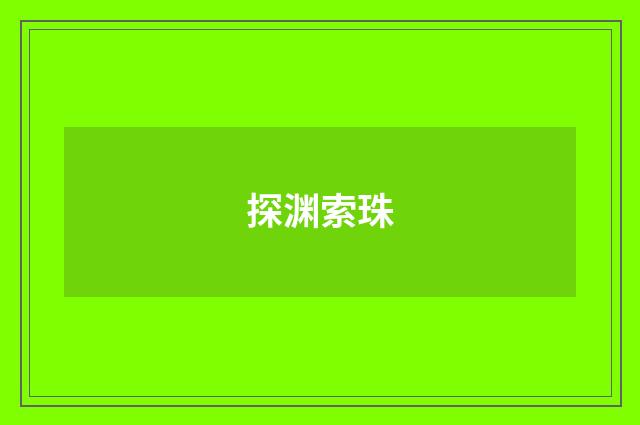 探渊索珠