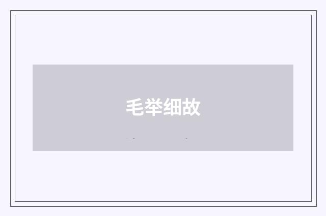 毛举细故