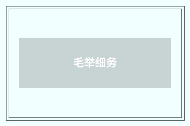 毛举细务