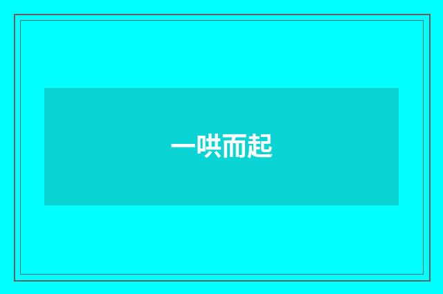 一哄而起