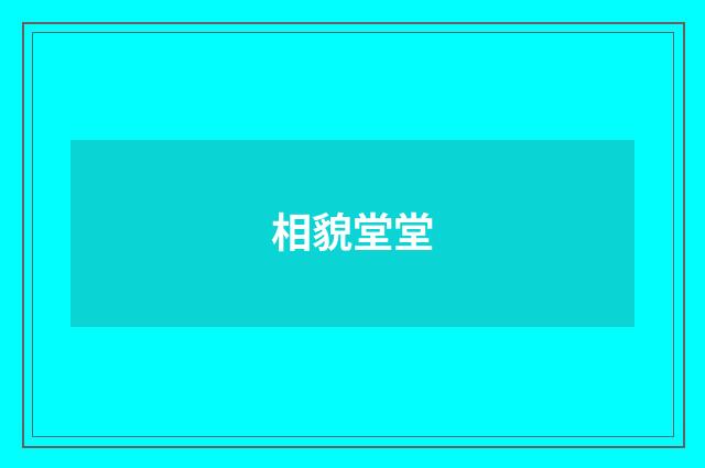 相貌堂堂