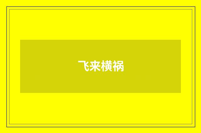 飞来横祸