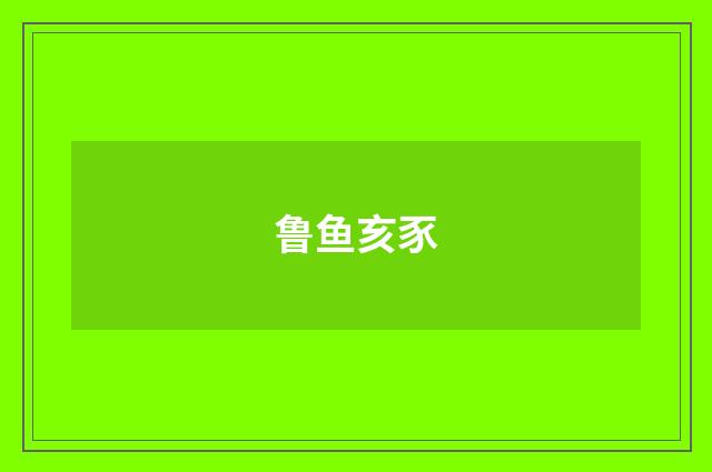 鲁鱼亥豕
