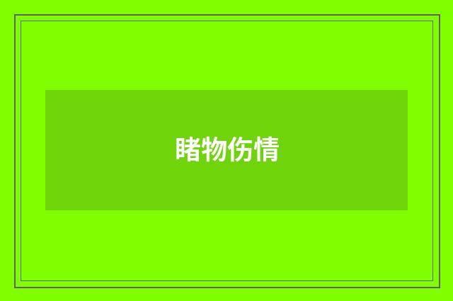 睹物伤情
