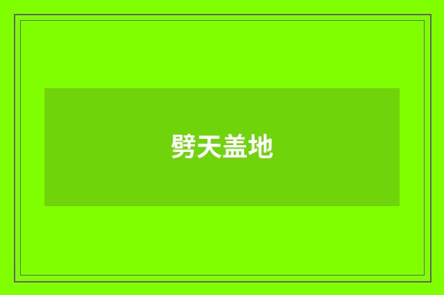 劈天盖地
