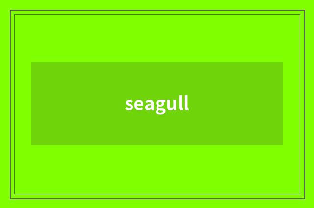 seagull