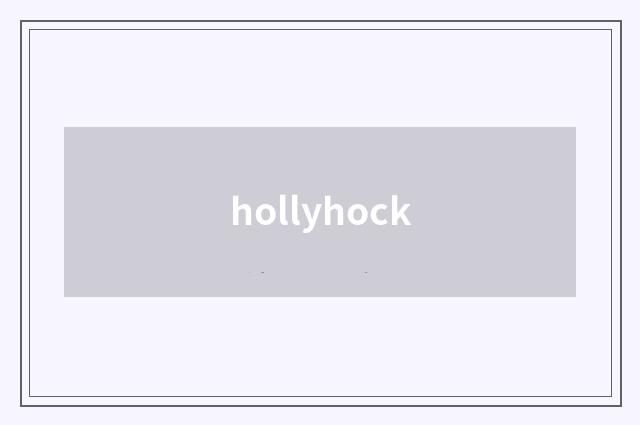 hollyhock