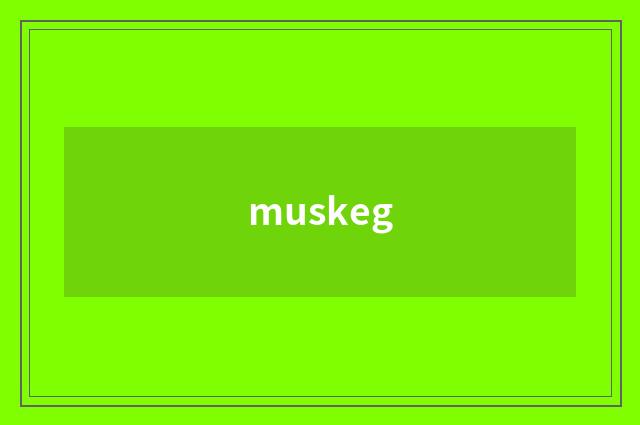 muskeg