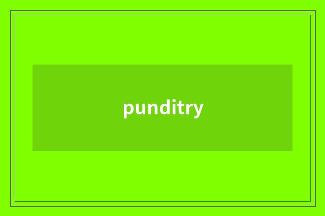 punditry