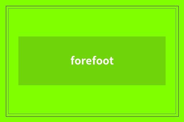 forefoot