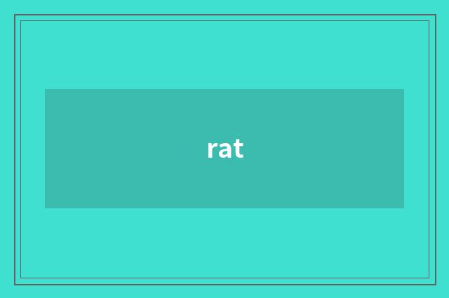 rat