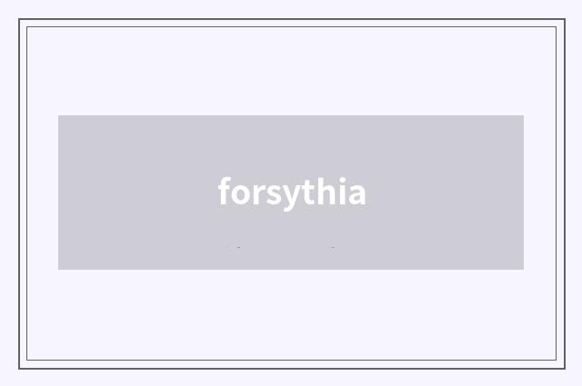 forsythia