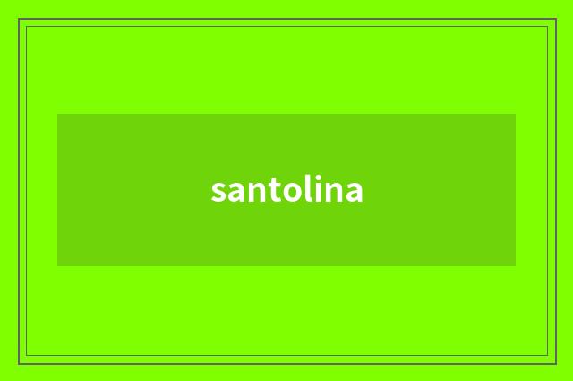 santolina