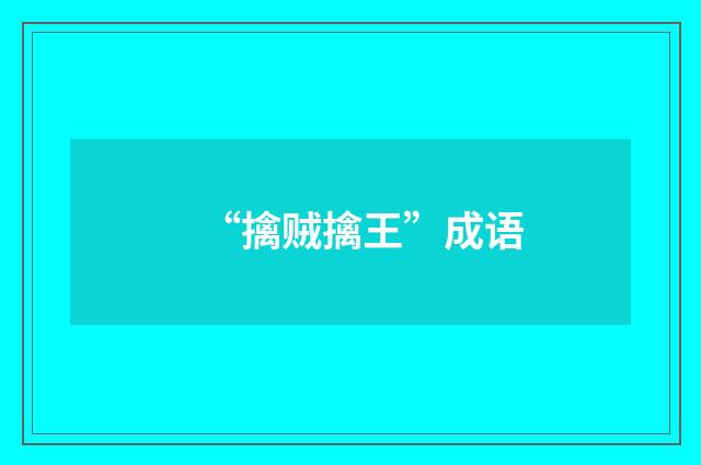 “擒贼擒王”成语