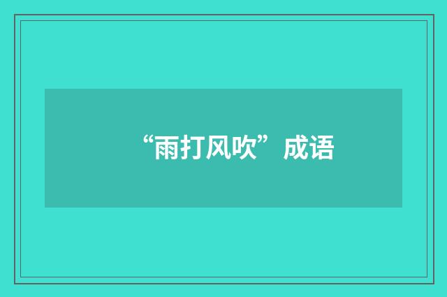 “雨打风吹”成语